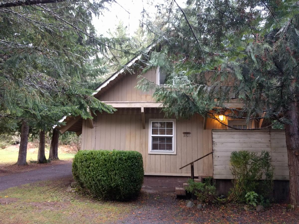阿什福德Chalet At Mt. Rainier别墅 外观 照片