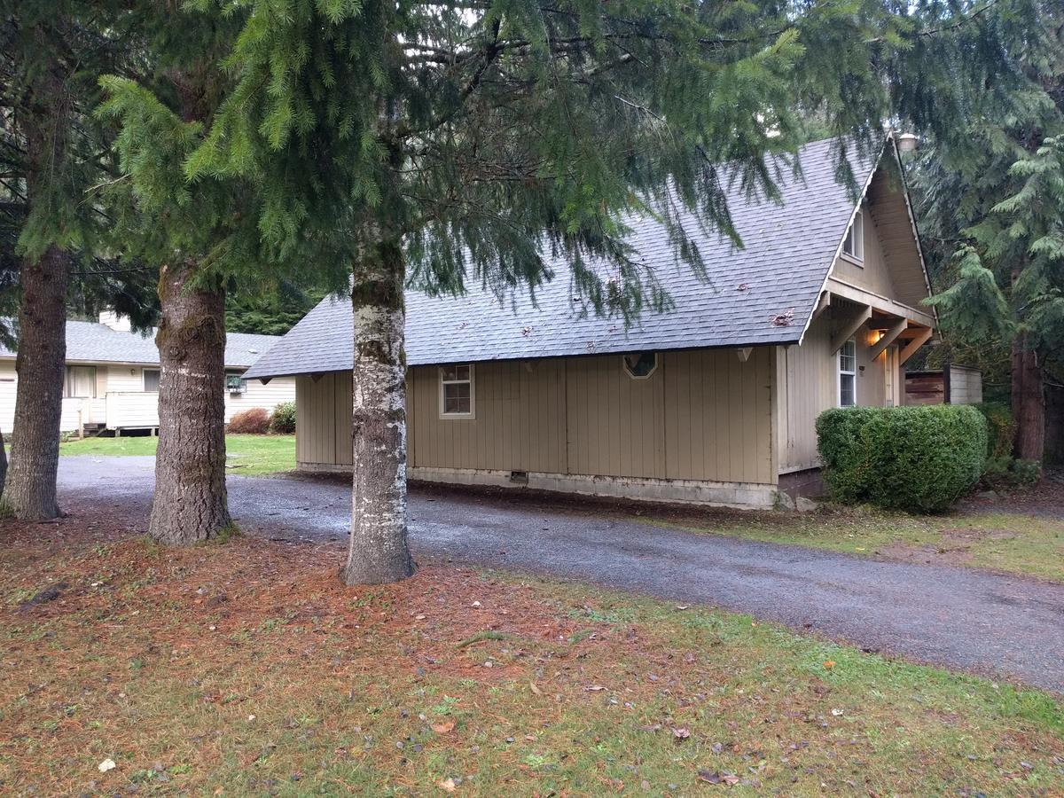 阿什福德Chalet At Mt. Rainier别墅 外观 照片